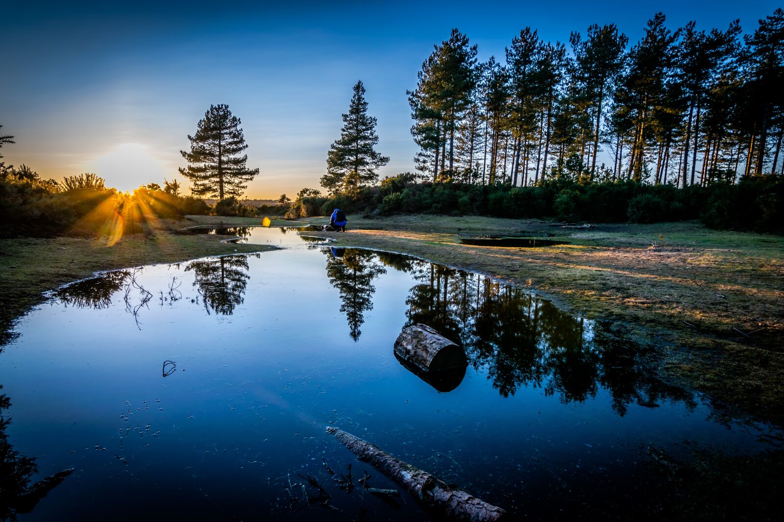 Tokina AT-X Pro 11-16mm F2.8 DX II sample photo. Tree, sunset, nature photography