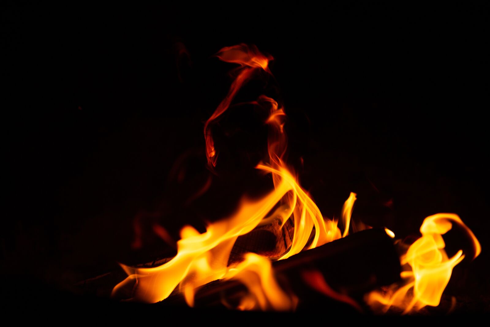 Nikon D800 sample photo. Fire, campfire, flames photography