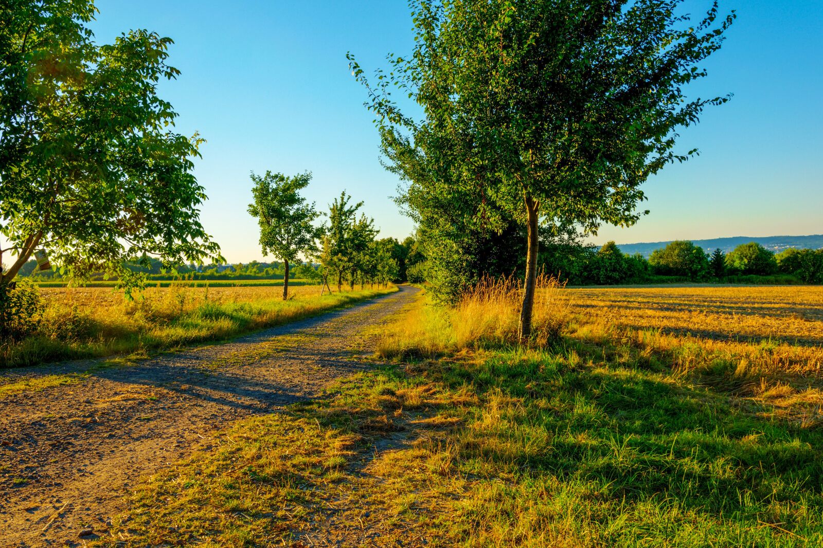 Nikon D5300 sample photo. Summer evening, landscape, abendstimmung photography