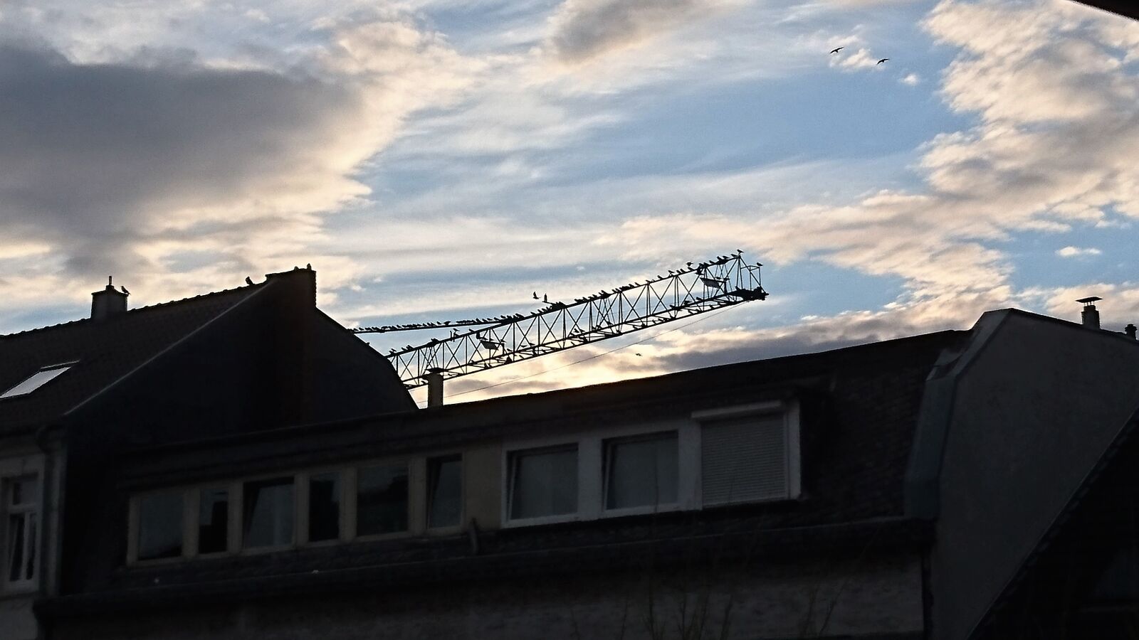 Sony Xperia Z5 sample photo. Twilight, crane, sunset photography