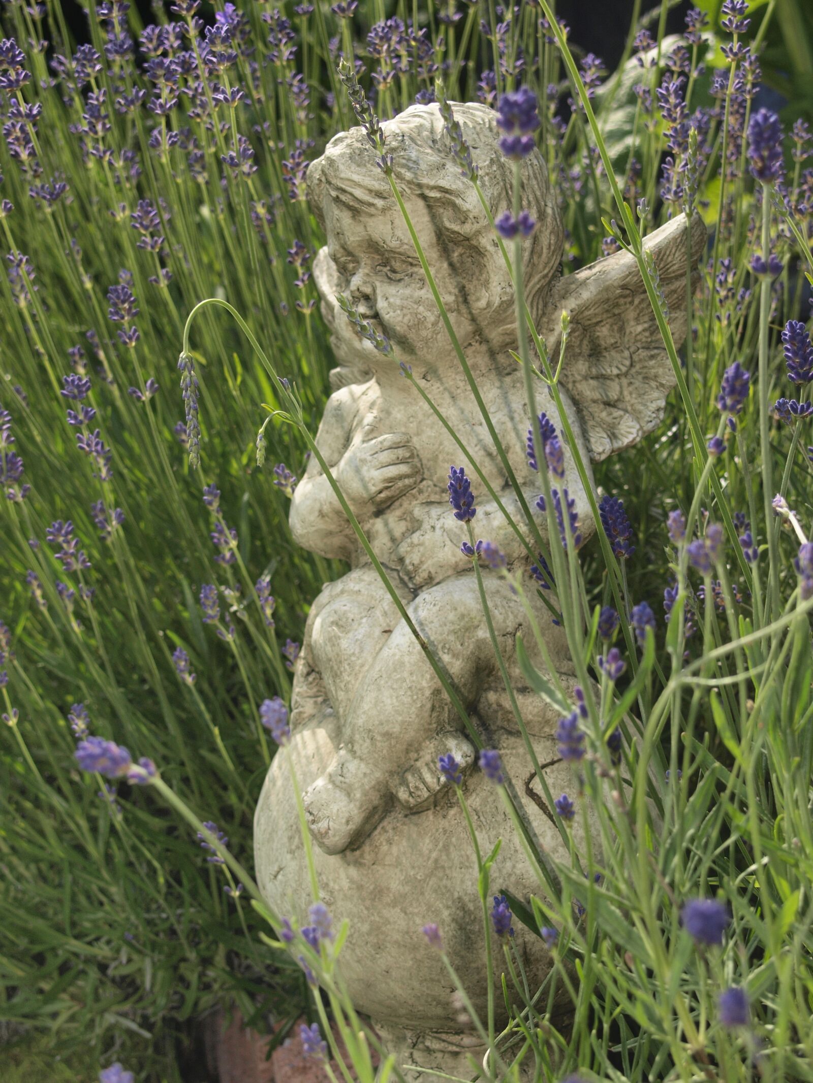Olympus E-420 (EVOLT E-420) sample photo. Cherub, deco, blossom photography