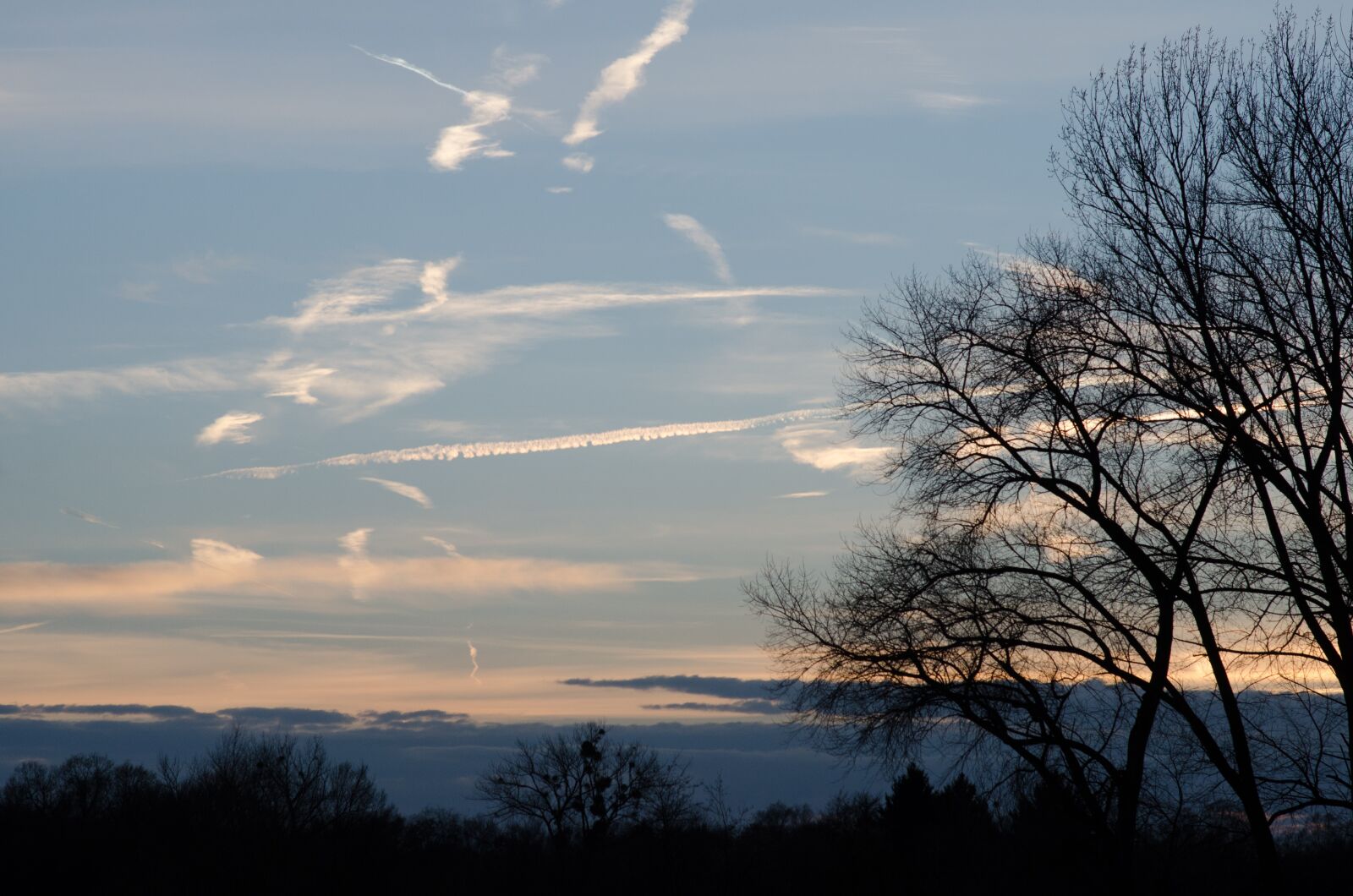 Nikon D5100 sample photo. Sky, nature, field photography