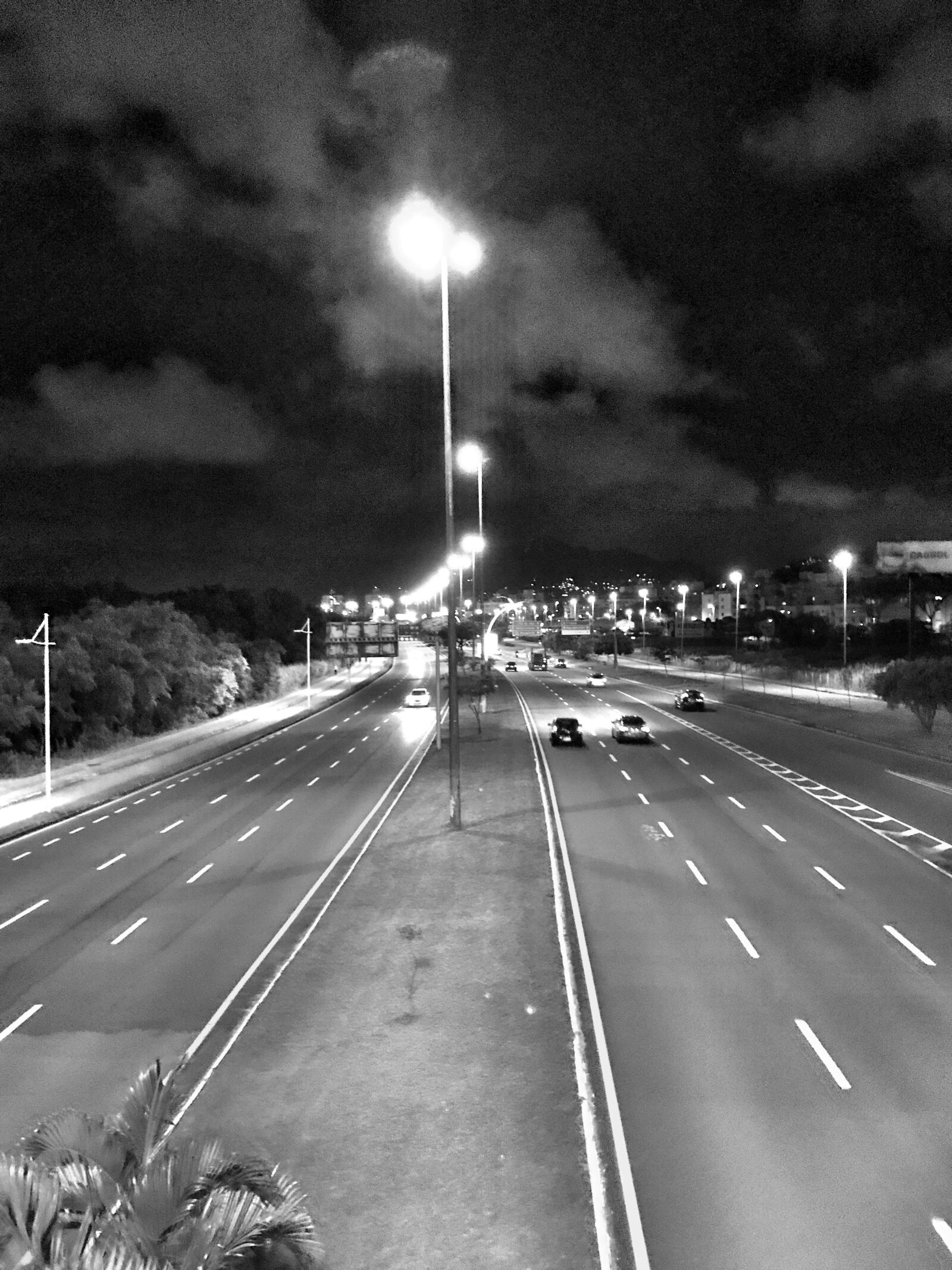 iPhone 7 back camera 3.99mm f/1.8 sample photo. Avenue, street, road photography