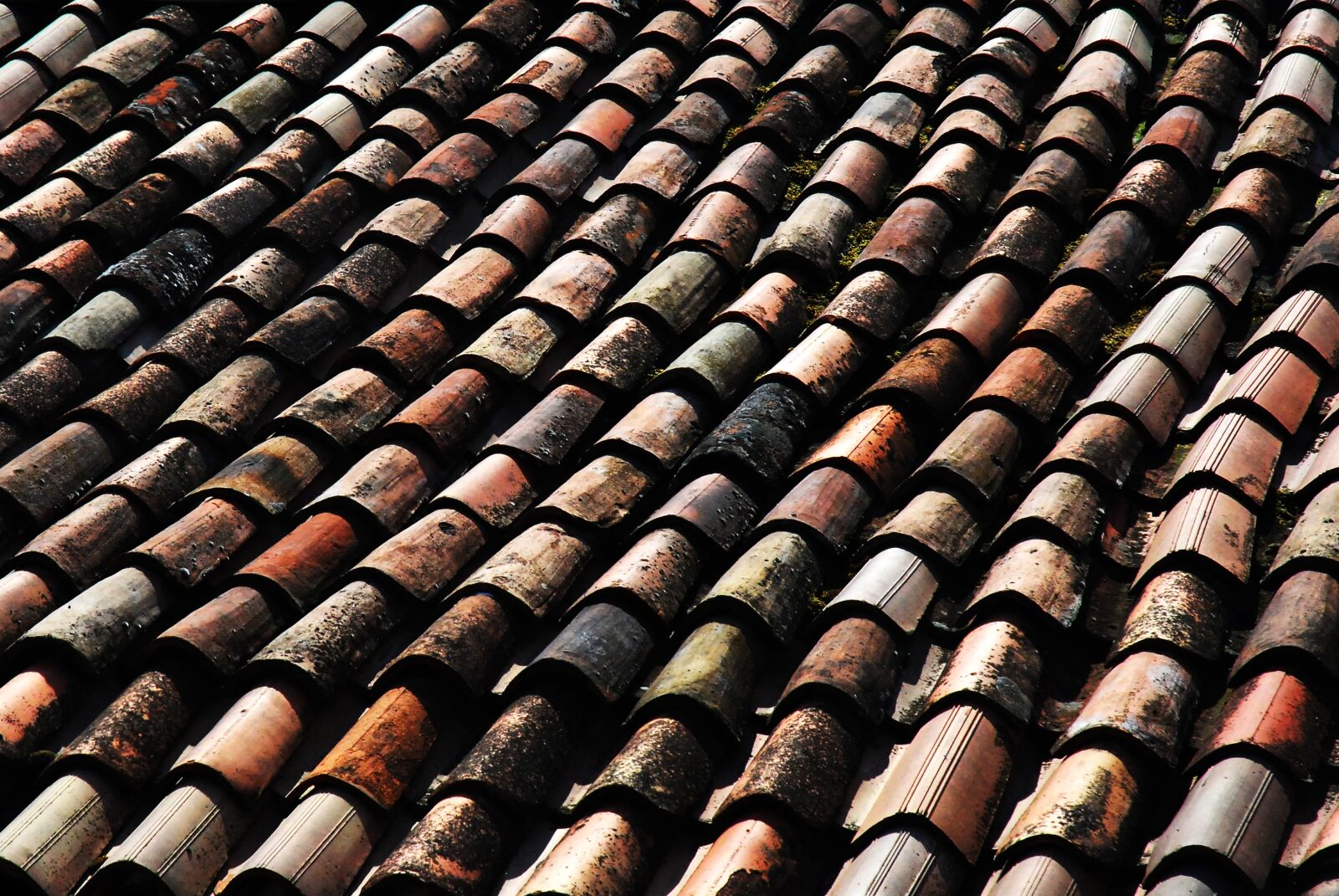Nikon D80 sample photo. Roof, tile, europe photography