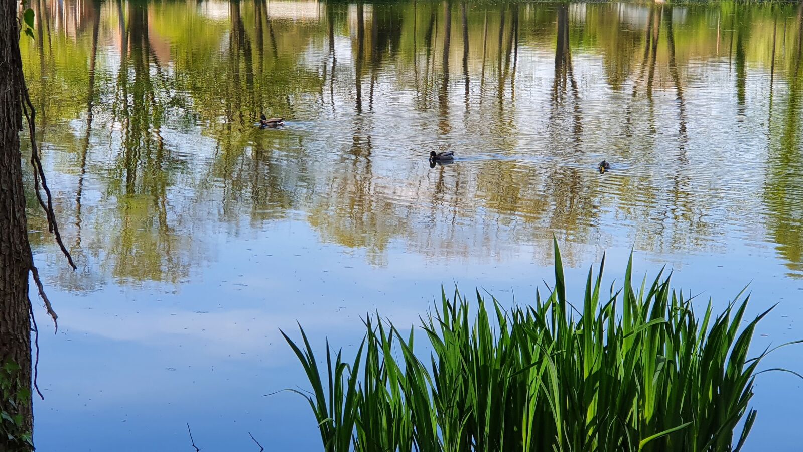Samsung Galaxy S10 sample photo. Nature, landscape, vacations photography