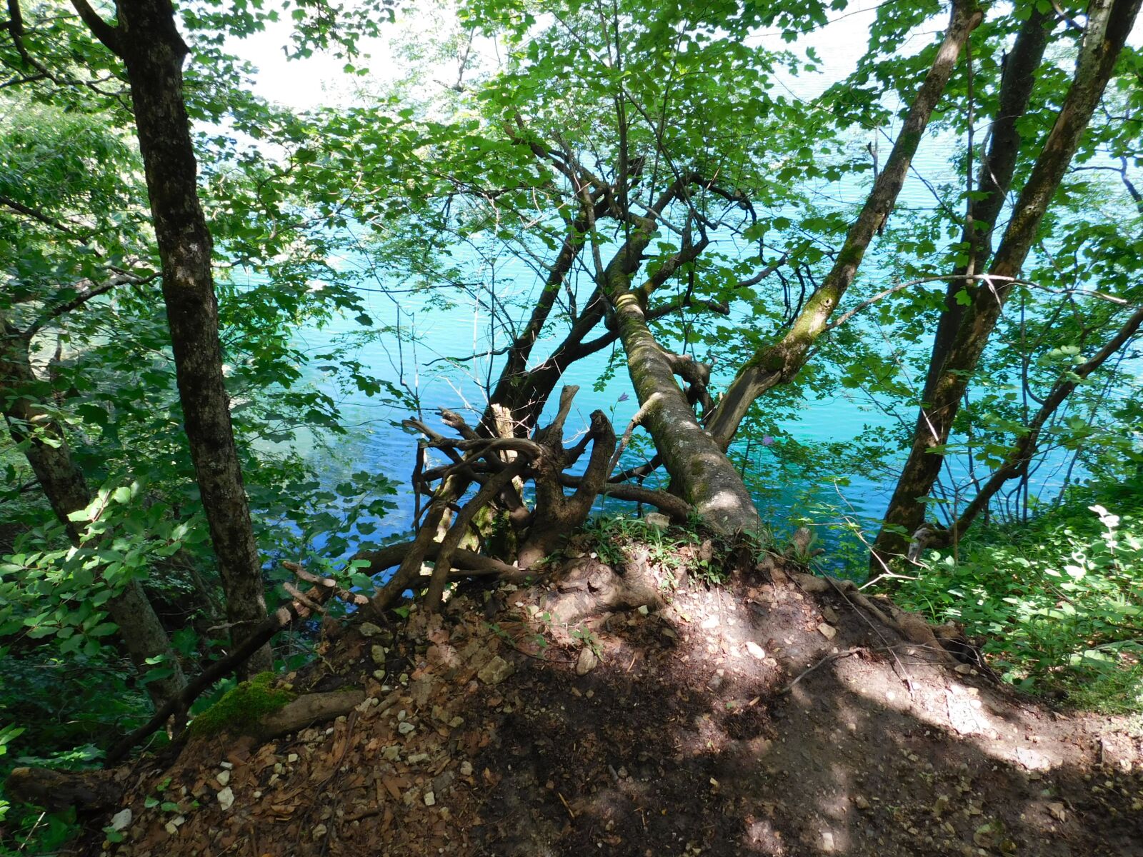 Nikon Coolpix L840 sample photo. Lake, nature, water photography