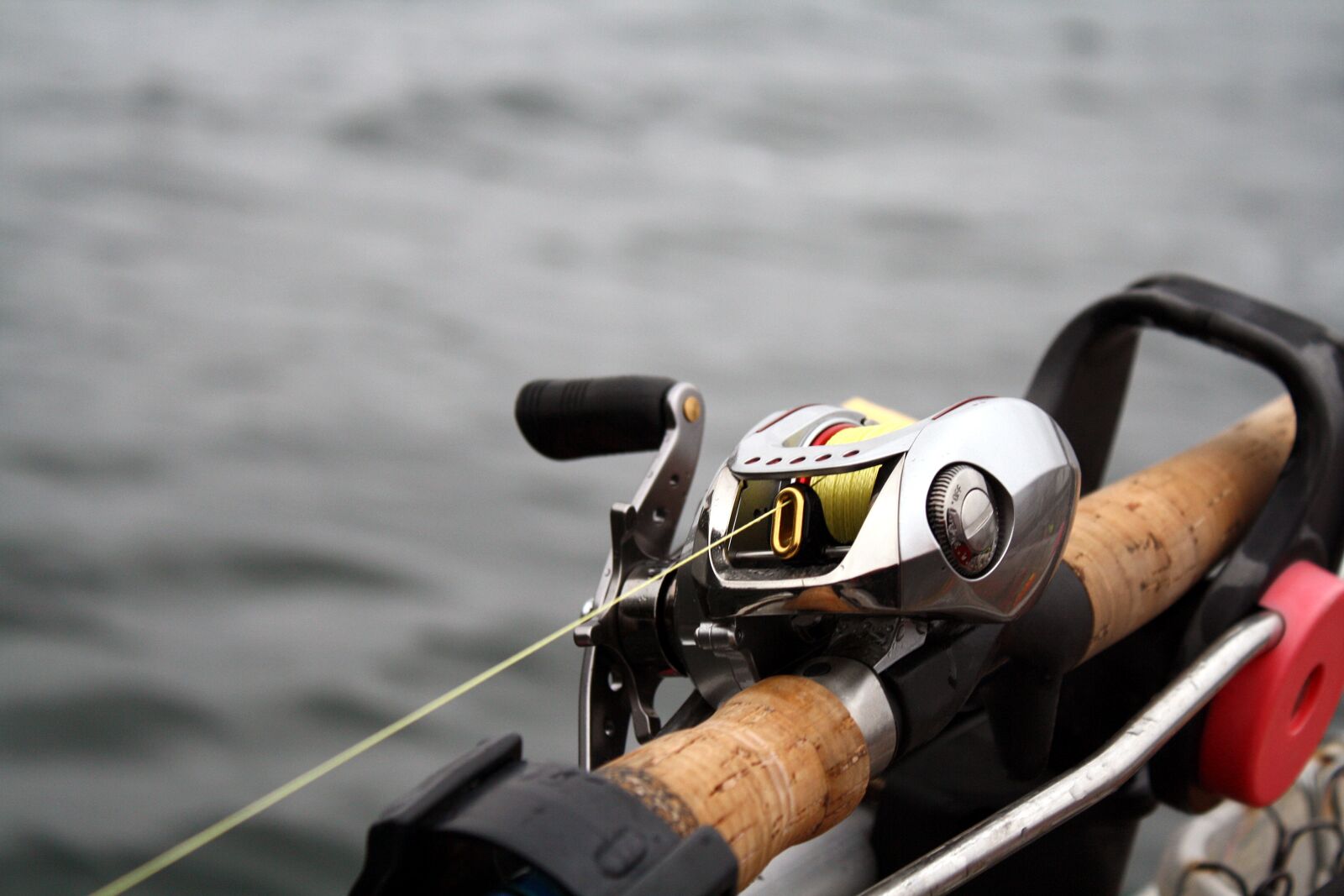 Canon EOS 1000D (EOS Digital Rebel XS / EOS Kiss F) sample photo. Water, activity, sport photography