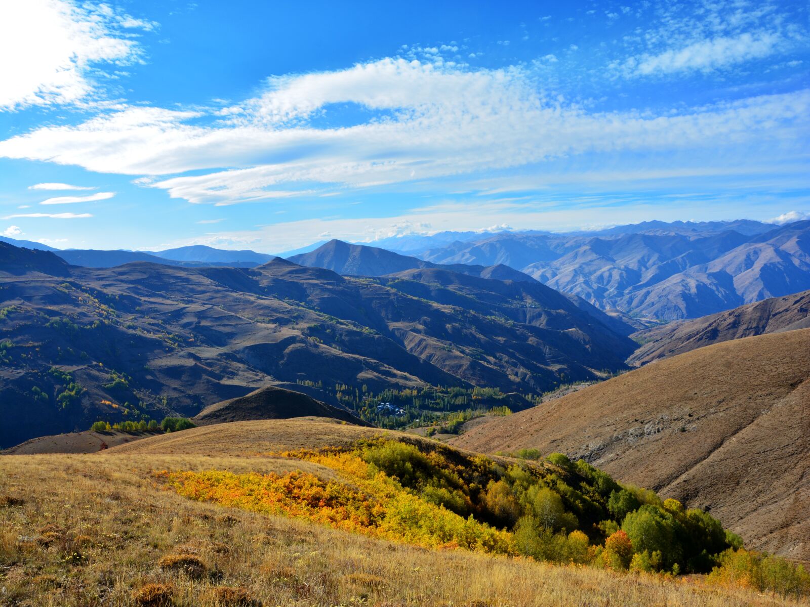 Nikon D7100 sample photo. Autumn, season, nature photography