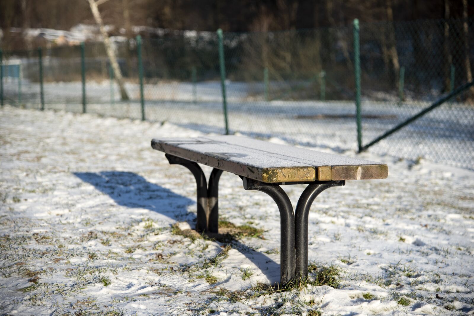 Nikon D750 sample photo. Bench, sitting bench, outdoor photography