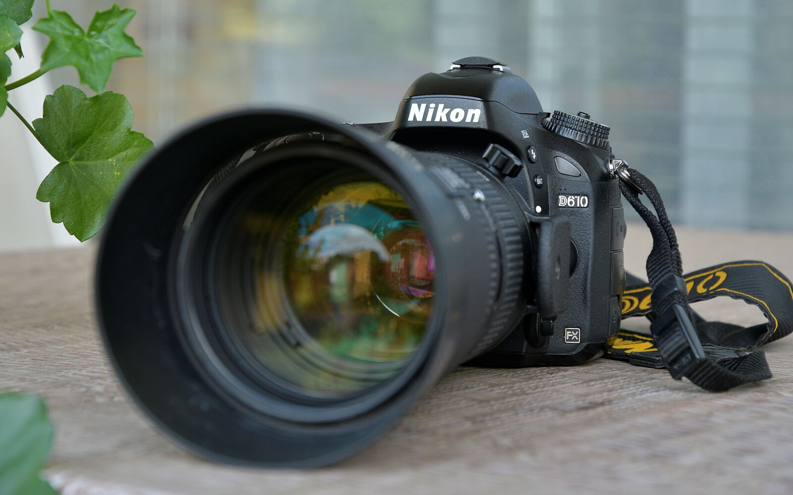 Nikon D7500 sample photo