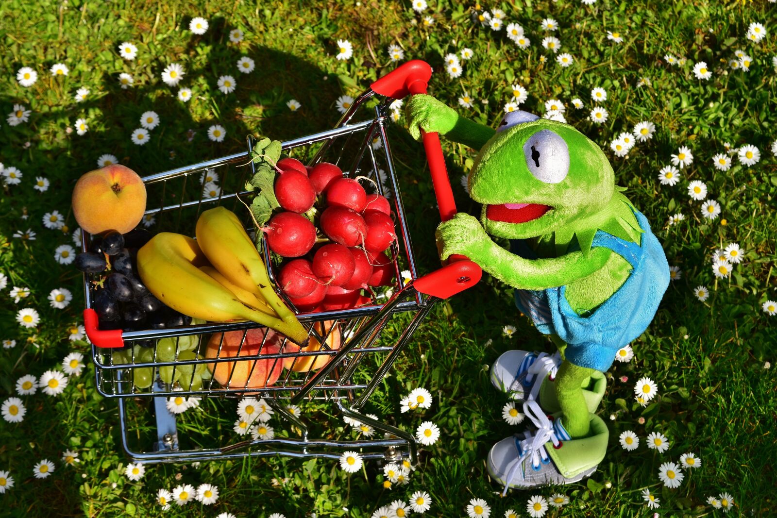 Nikon D7200 sample photo. Kermit, shopping cart, healthy photography
