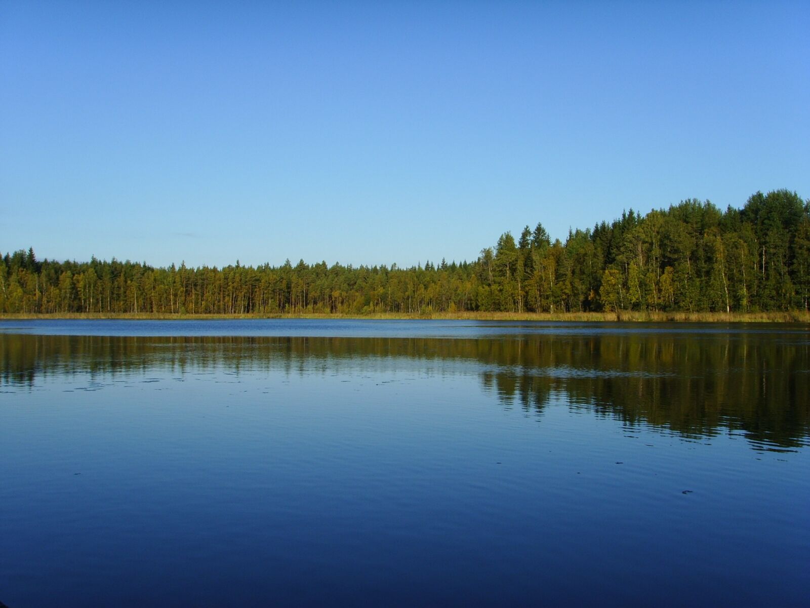 Samsung Digimax i6 PMP, Samsung #11 PMP sample photo. Lake, nature, trees photography