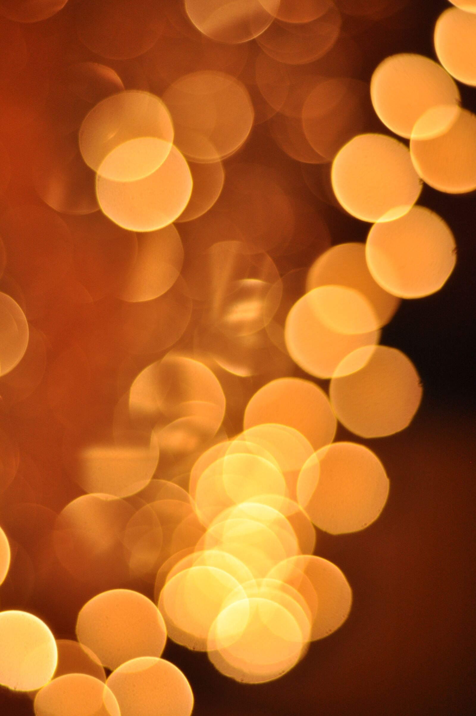 Nikon D90 sample photo. Light, christmas tree, the photography