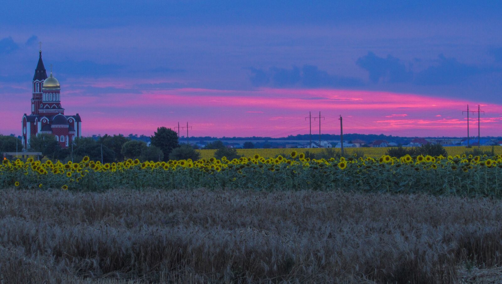 Canon PowerShot SX530 HS sample photo. Sunset, field, pink photography