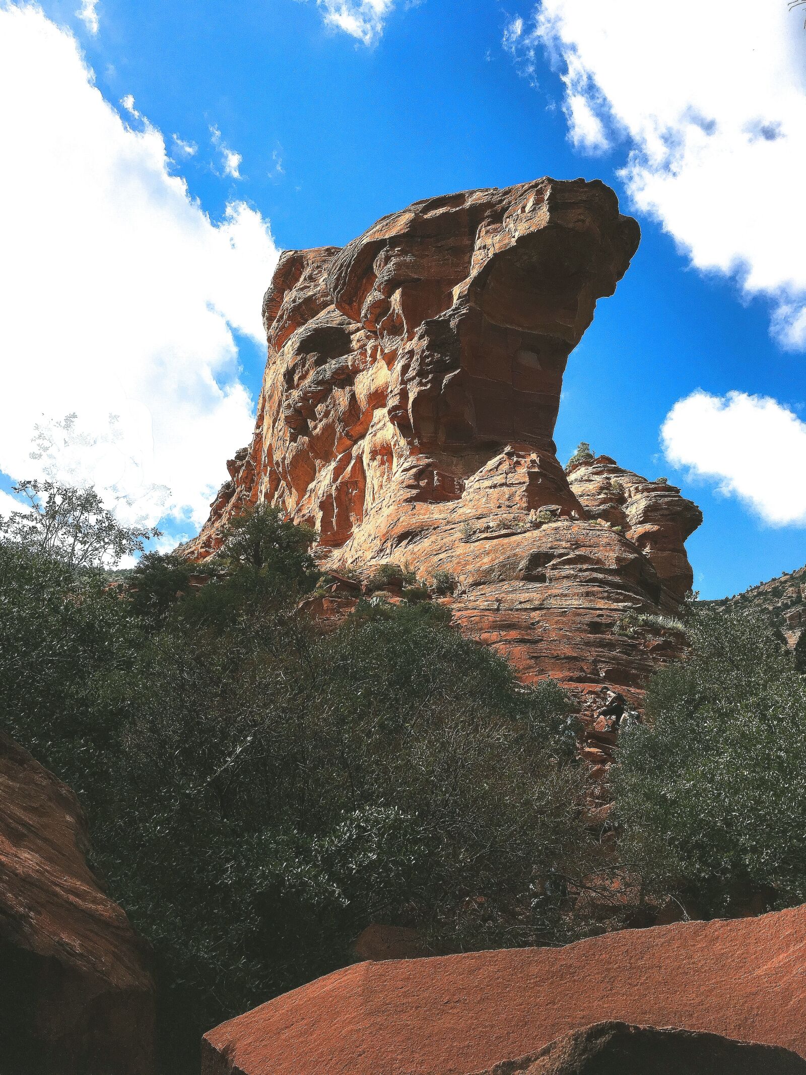iPhone SE back camera 4.15mm f/2.2 sample photo. Sedona, arizona, southwest photography