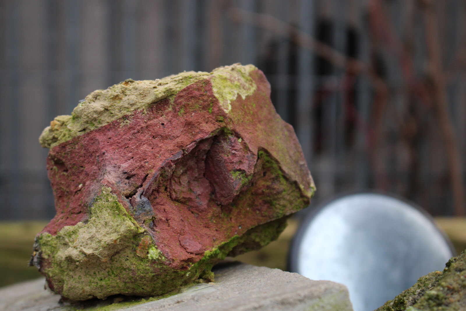 Canon EOS 700D (EOS Rebel T5i / EOS Kiss X7i) sample photo. Green, outside, red, stone photography