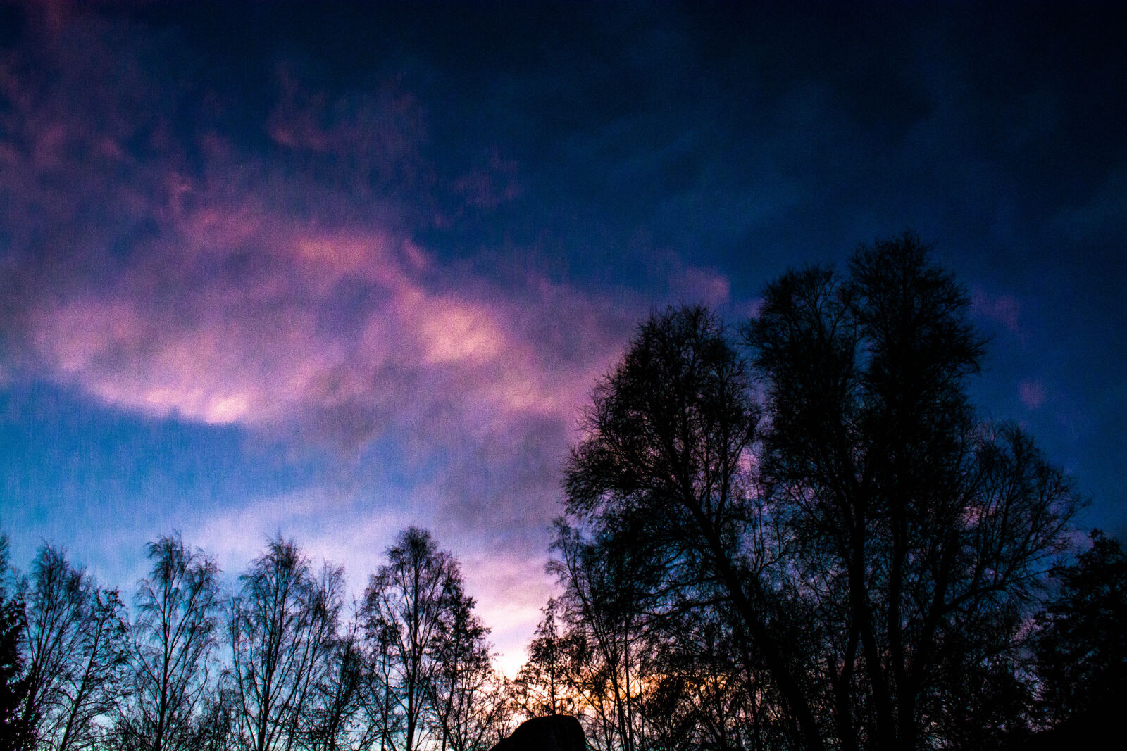 Nikon D5200 sample photo. Sky, sunrise, trees photography