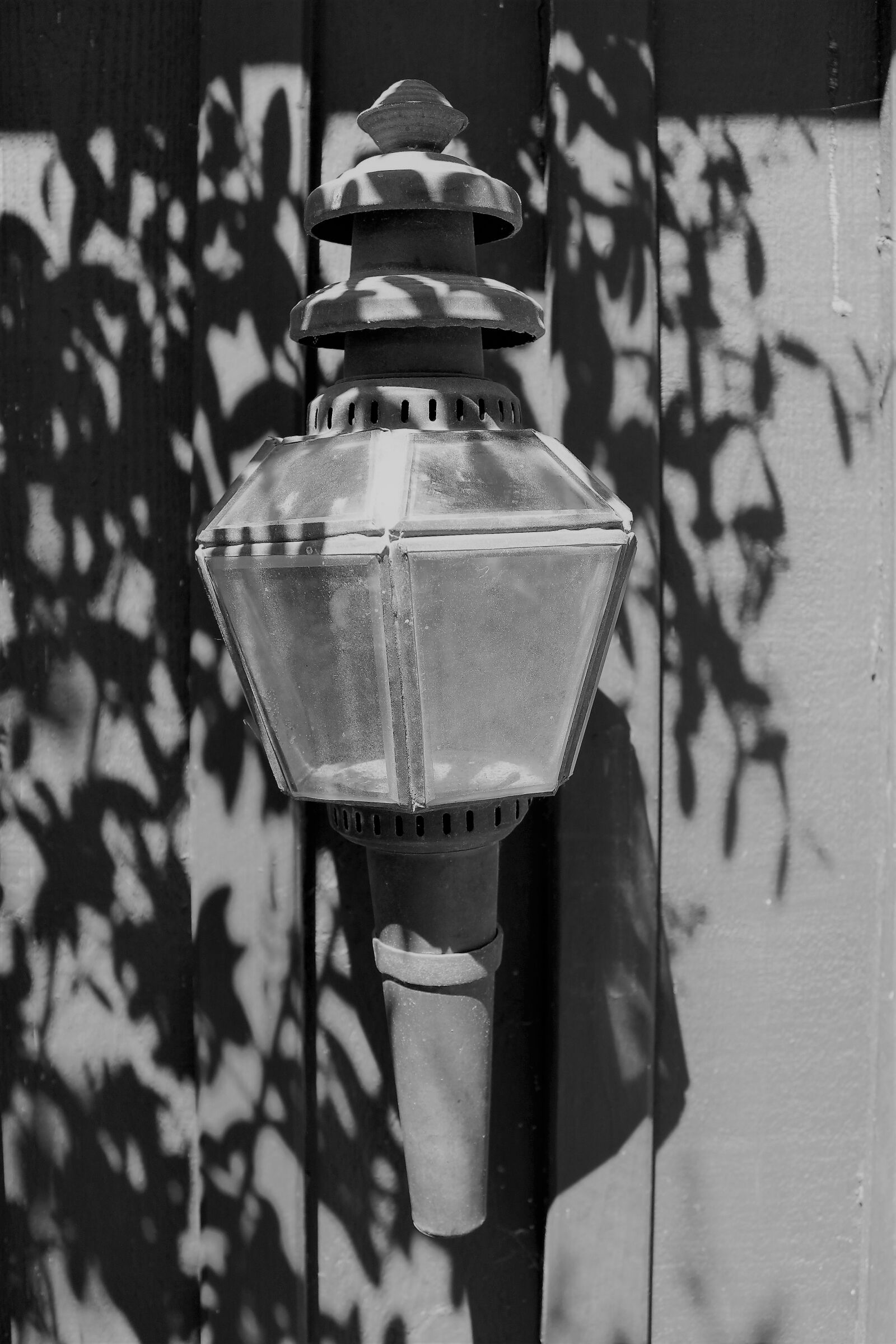 Canon EOS 500D (EOS Rebel T1i / EOS Kiss X3) sample photo. Drosklykta, h stlykta, antique photography