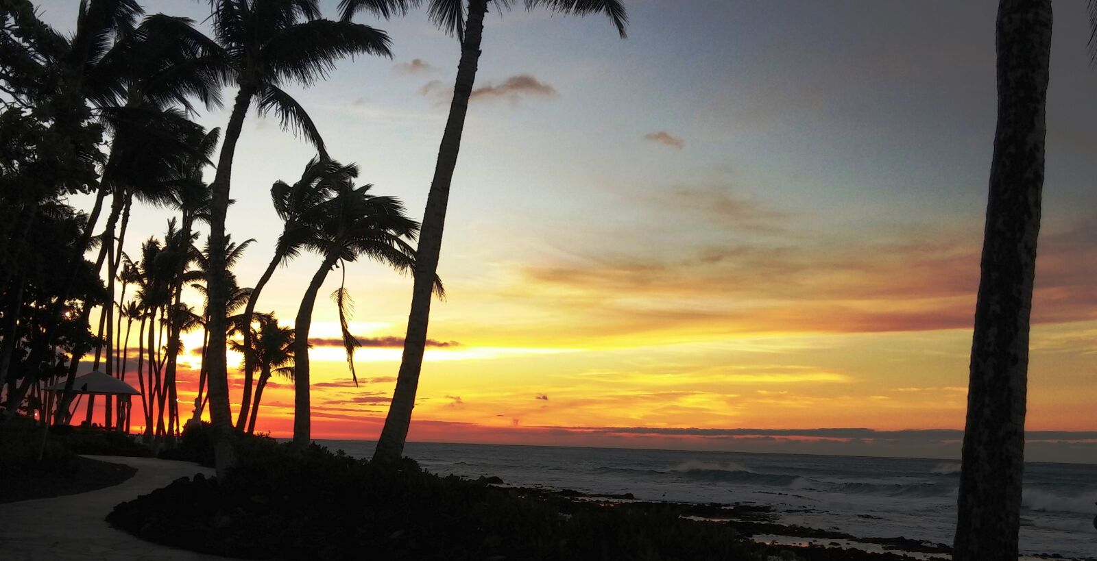 LG G2 sample photo. Hawaii, sunset, palm trees photography