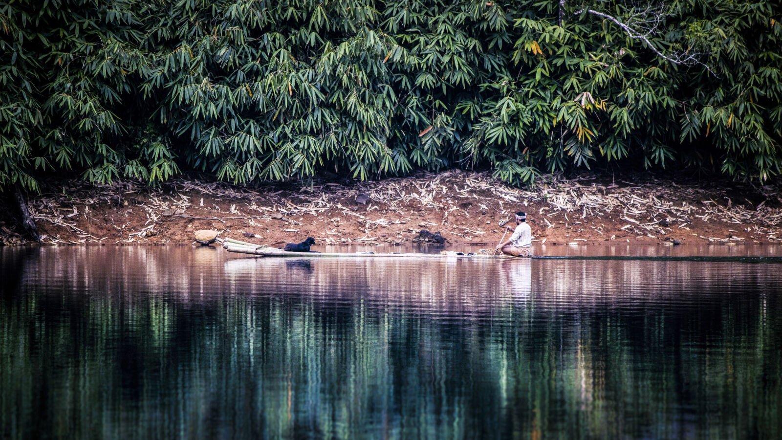 Canon EOS 600D (Rebel EOS T3i / EOS Kiss X5) sample photo