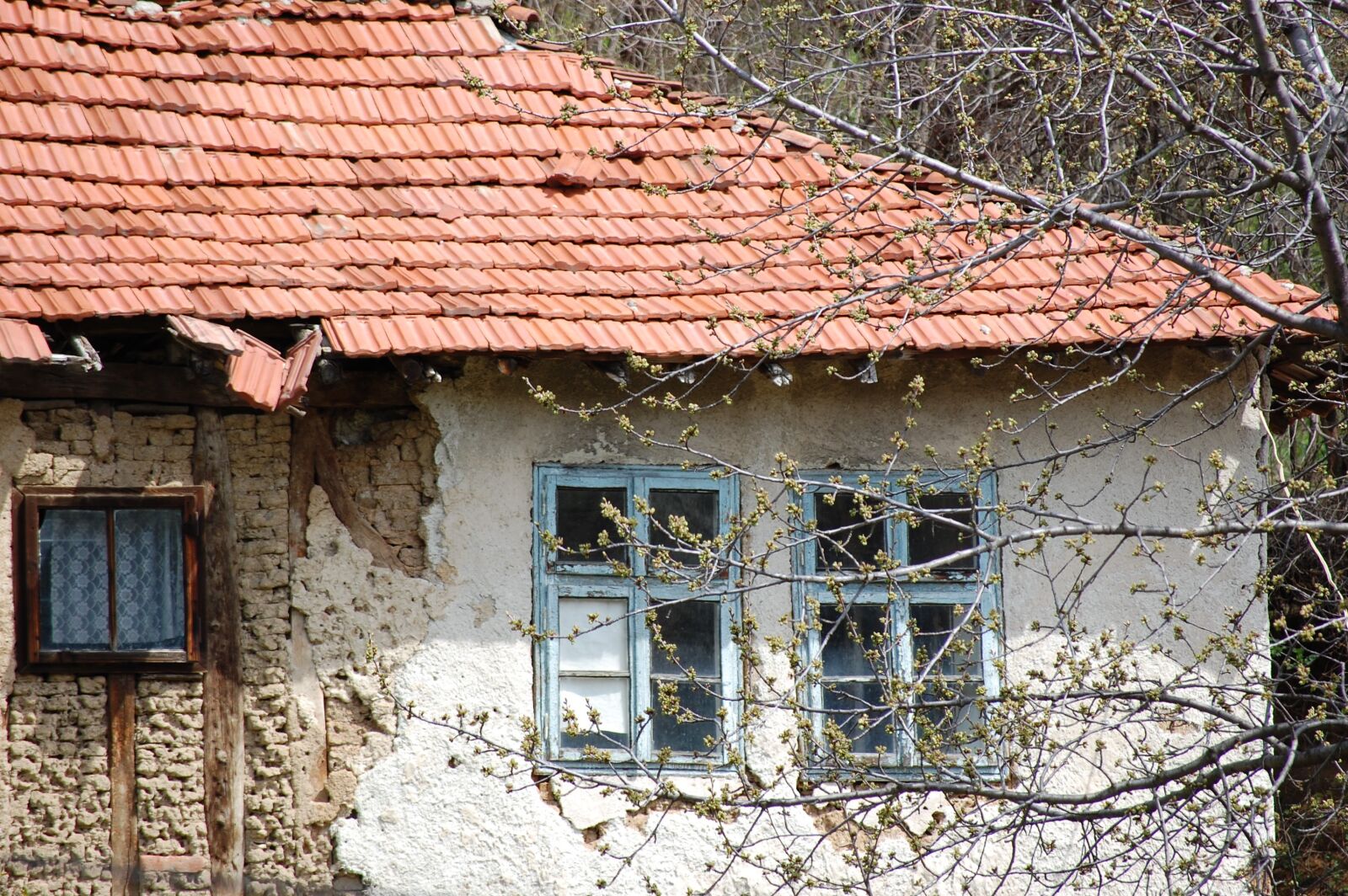 Nikon D40 sample photo. House, building, old photography