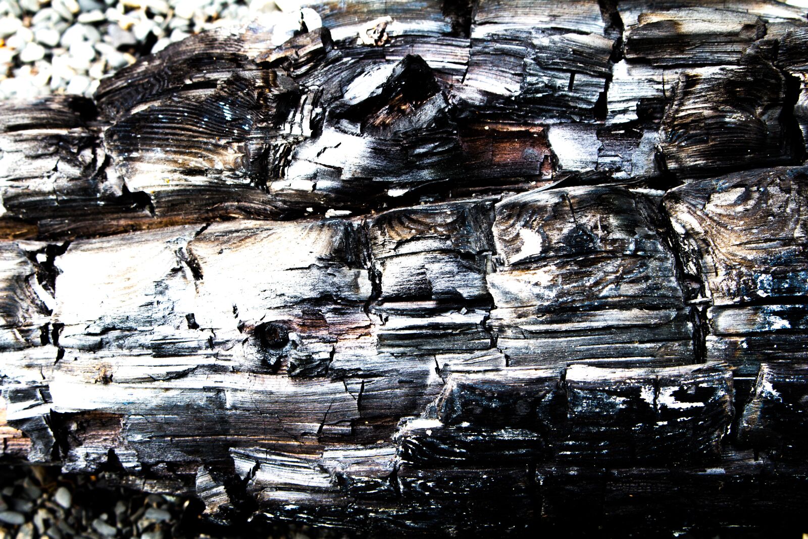 Canon EOS 700D (EOS Rebel T5i / EOS Kiss X7i) sample photo. Burned, wood, driftwood photography