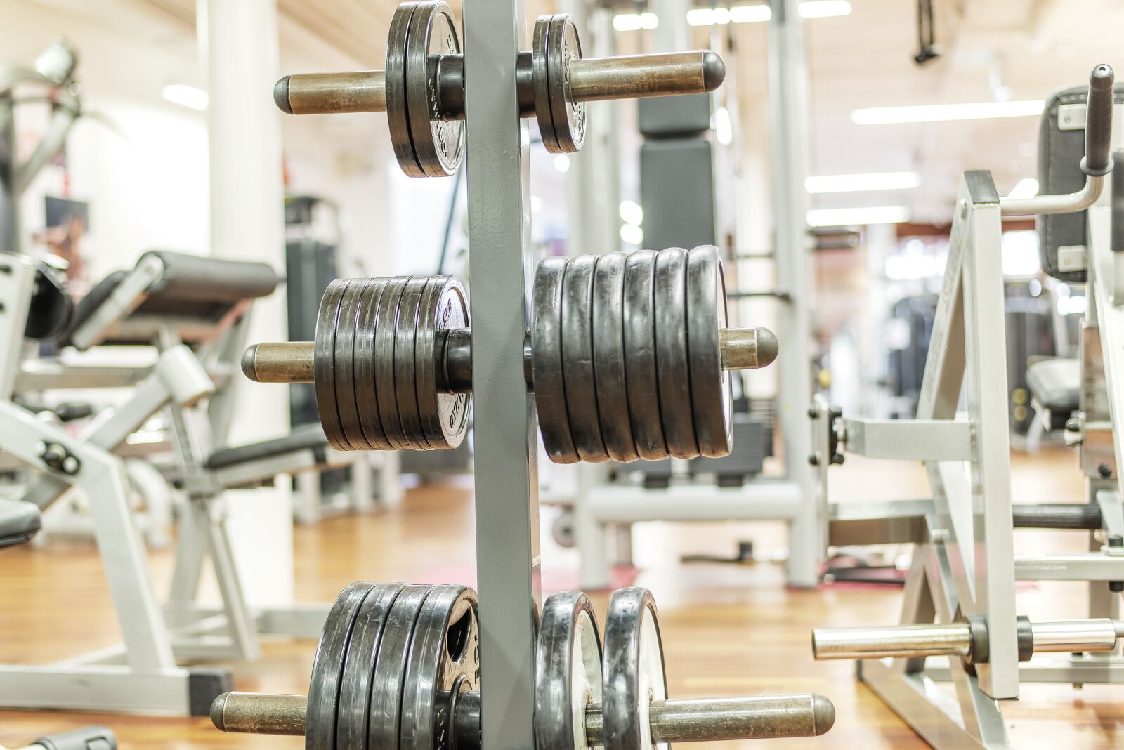 Nikon D600 sample photo. Dumbbells, weight plates, gym photography