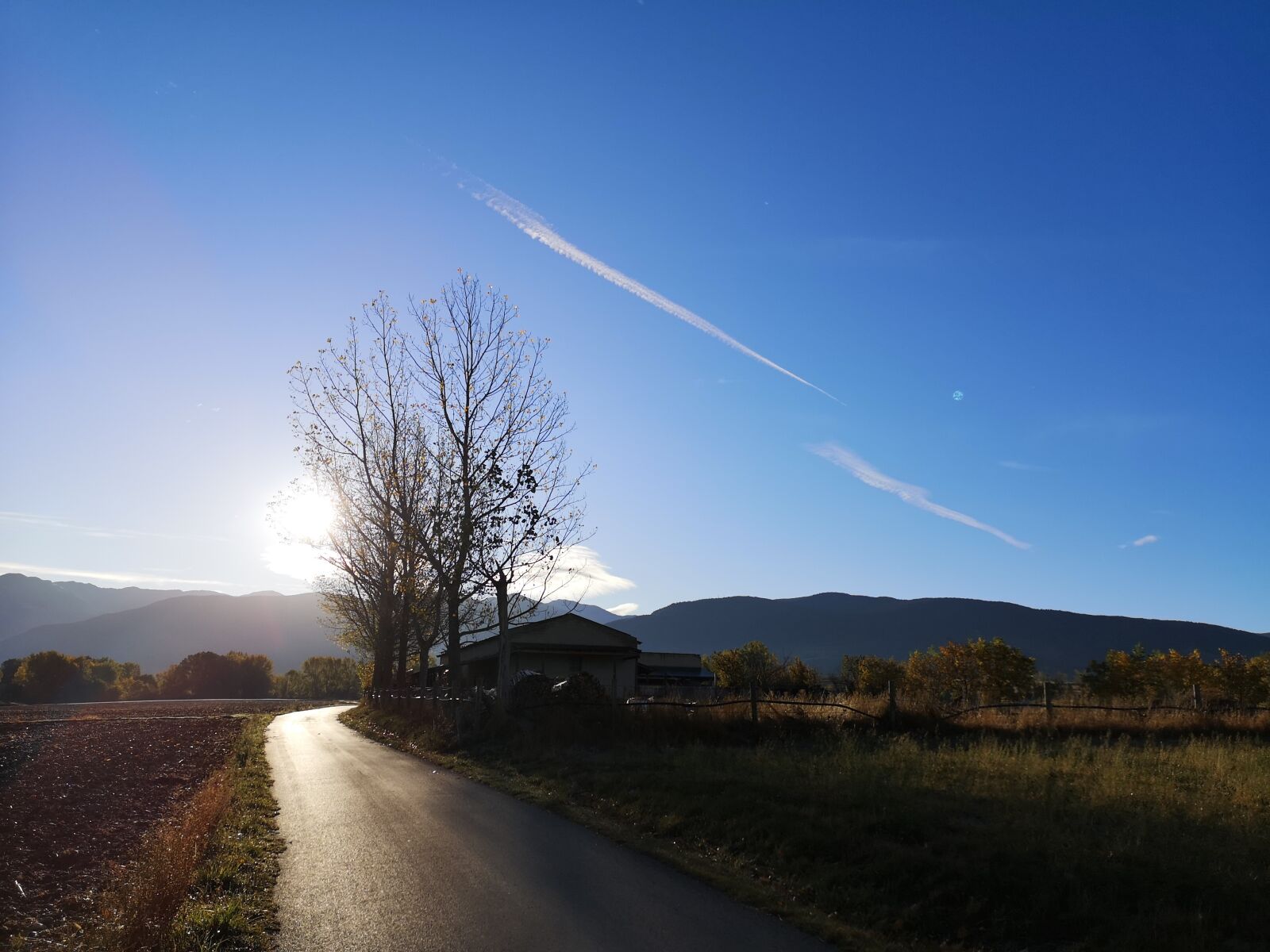 HUAWEI CLT-L29 sample photo. Sky, tree, path photography