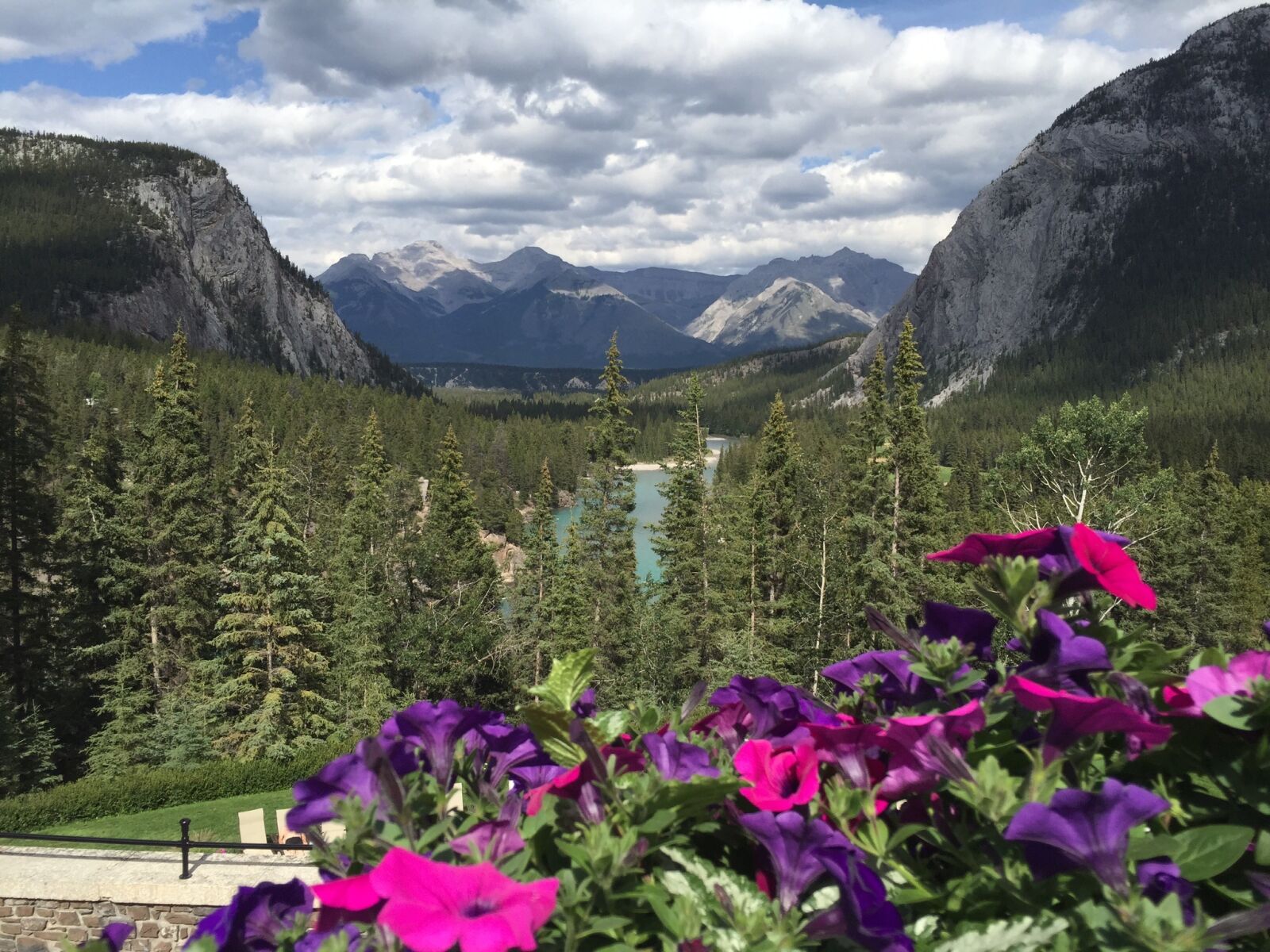 Apple iPhone 6 sample photo. Mountain, flowers, nature photography