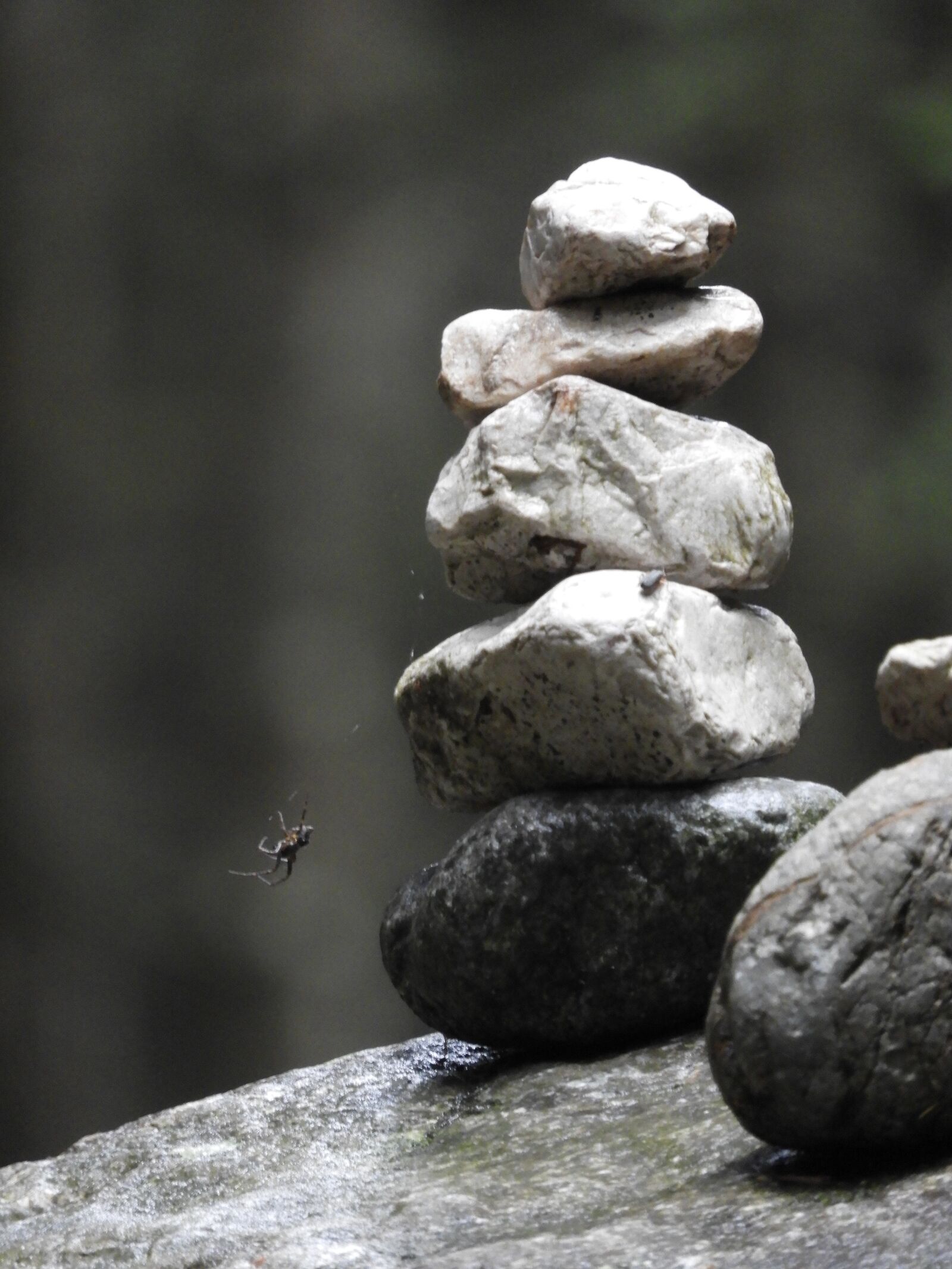 Nikon Coolpix B700 sample photo. Stone, spider, stack photography