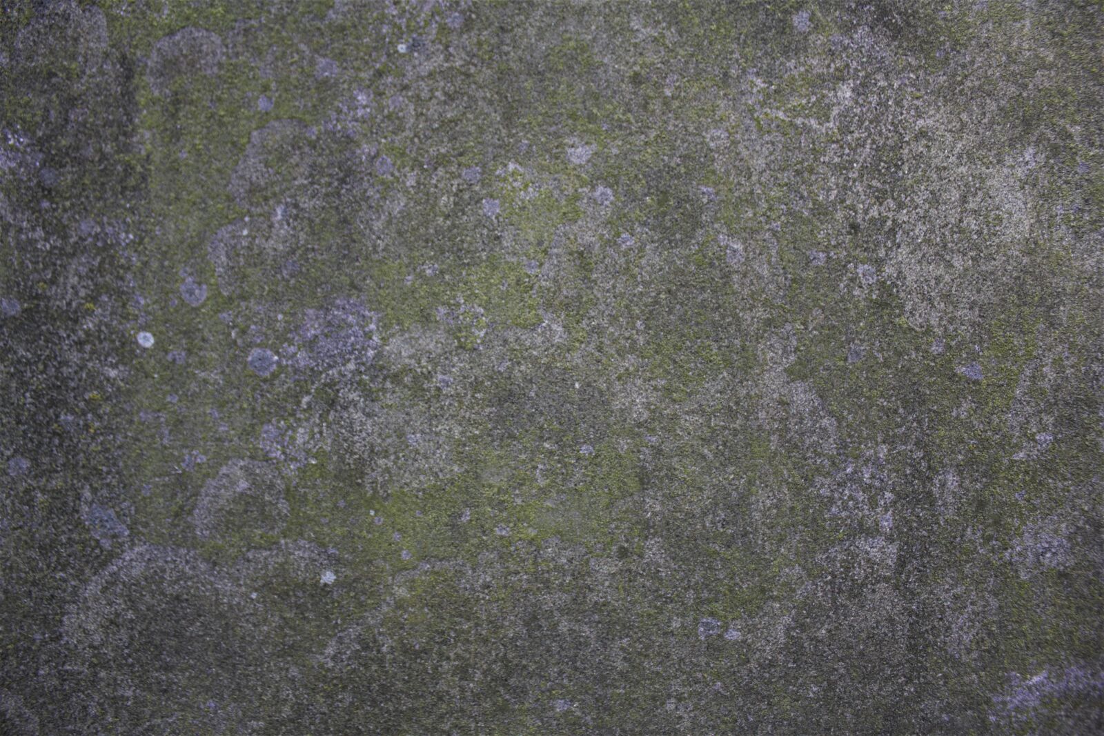 Canon EOS 550D (EOS Rebel T2i / EOS Kiss X4) sample photo. Texture, background, backdrop photography