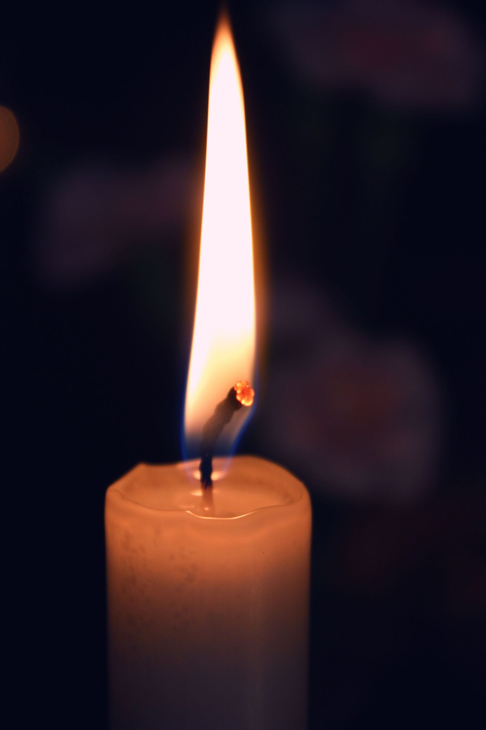 Canon EOS 600D (Rebel EOS T3i / EOS Kiss X5) sample photo. Candle, flame, fire photography