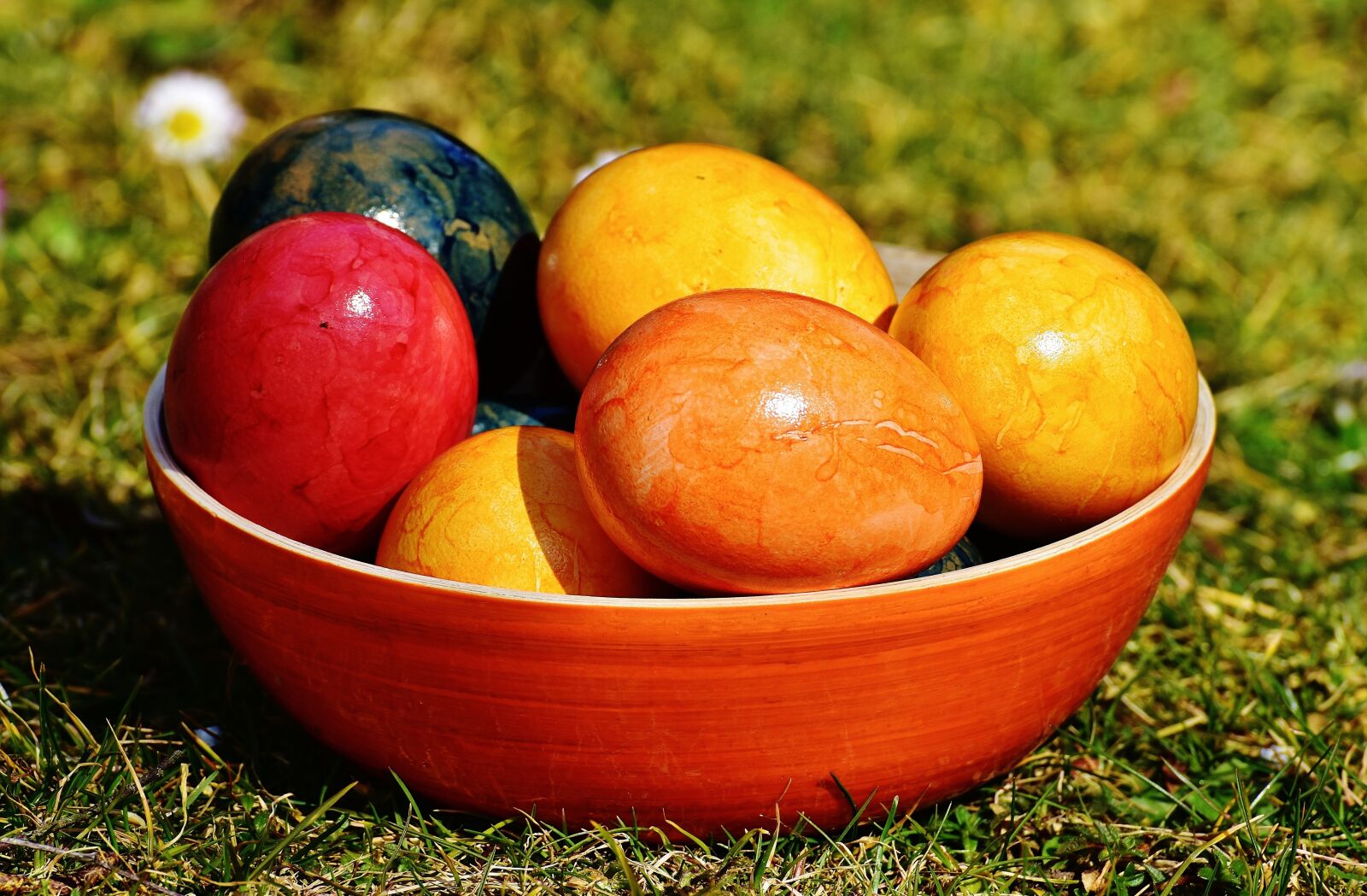 Nikon D7200 sample photo. Shell, egg, colored photography