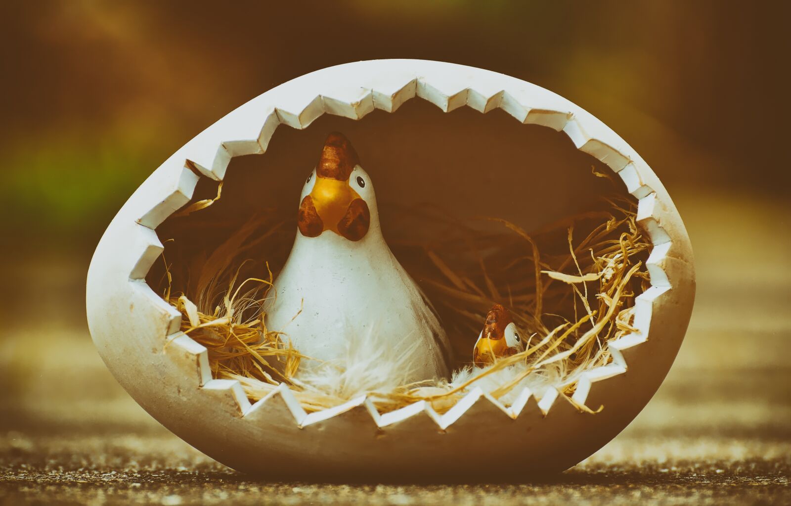Nikon D3200 sample photo. Easter, chickens, happy easter photography
