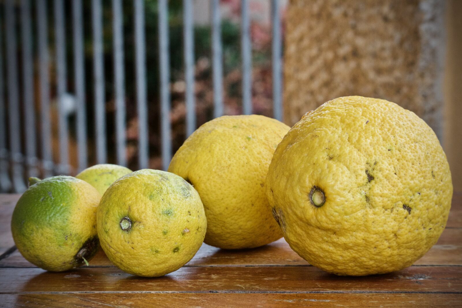 Canon EOS M sample photo. Lemon, citrus fruits, bio photography