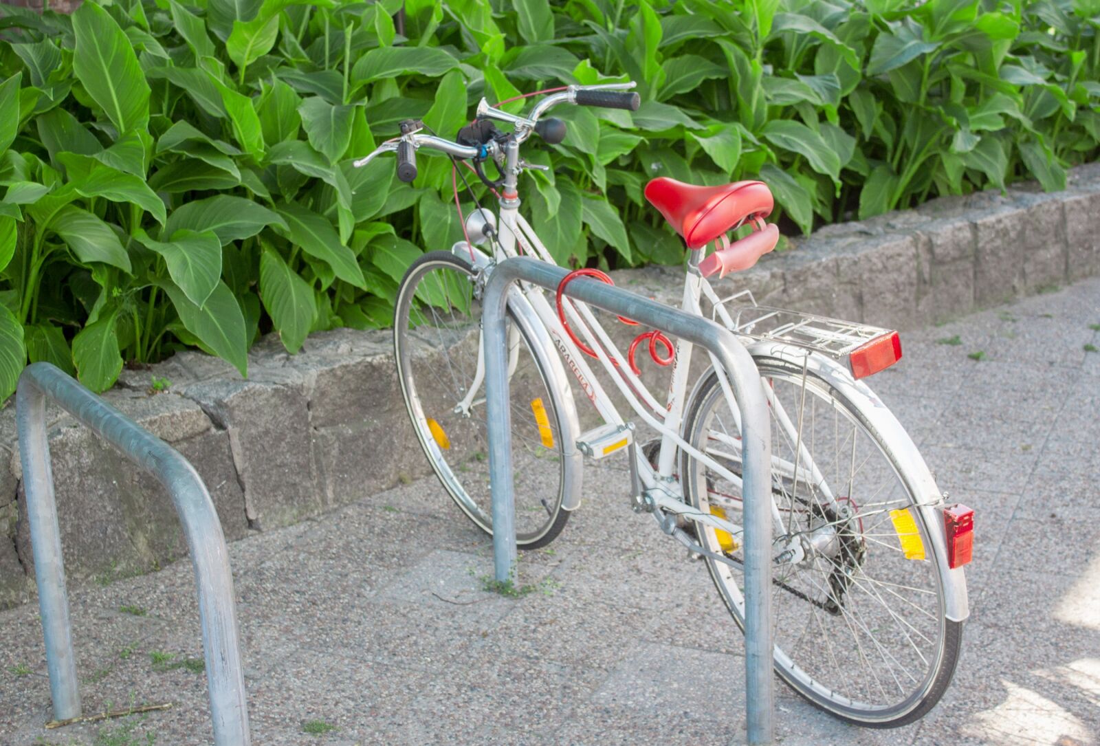 Canon EOS 500D (EOS Rebel T1i / EOS Kiss X3) sample photo. Bike, bicycle, sports photography