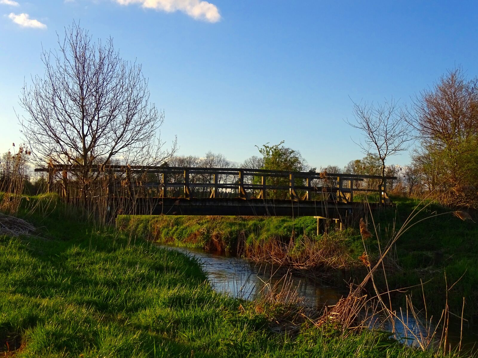 Sony Cyber-shot DSC-HX400V sample photo. Nature, bridge brook, bach photography