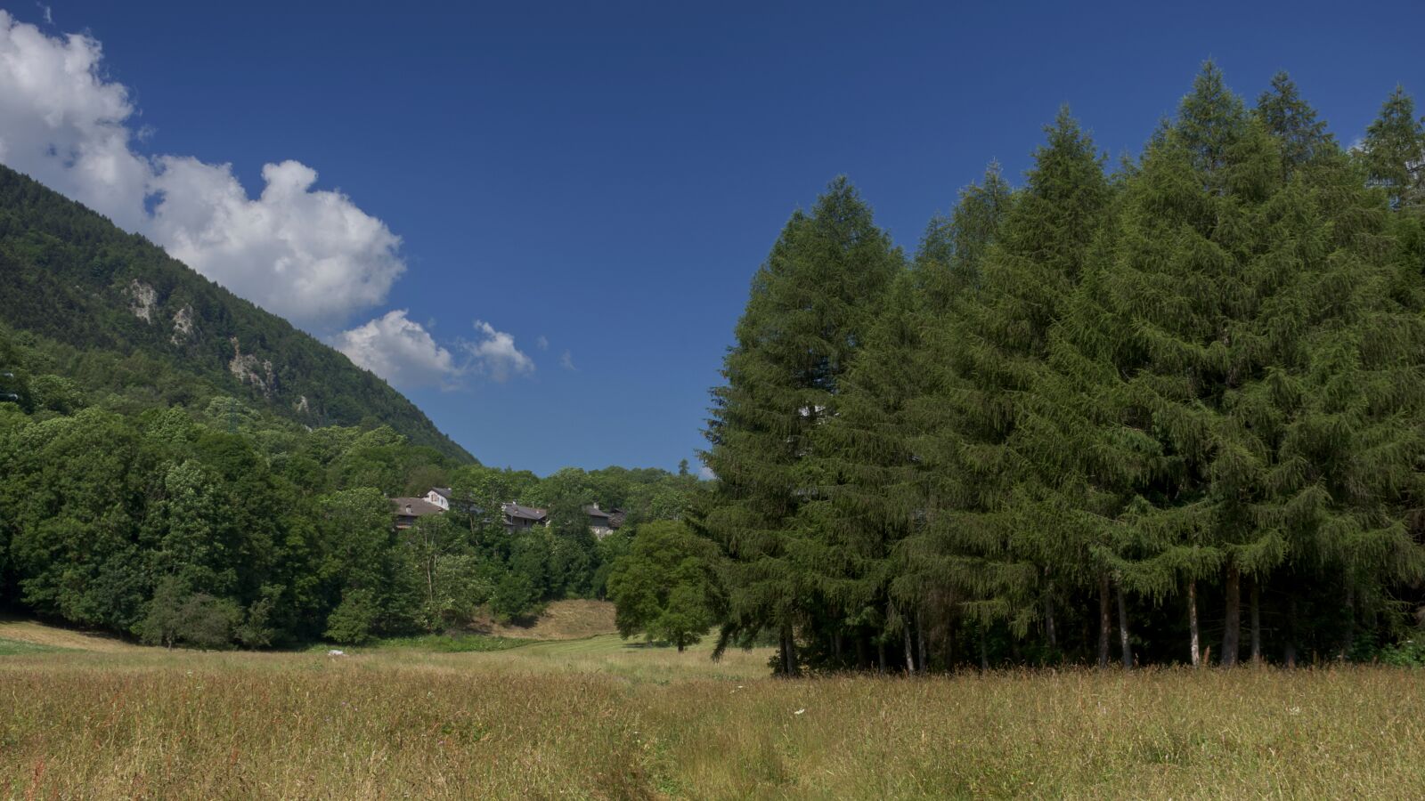 Nikon D7200 sample photo. Outdoor, landscape, nature photography