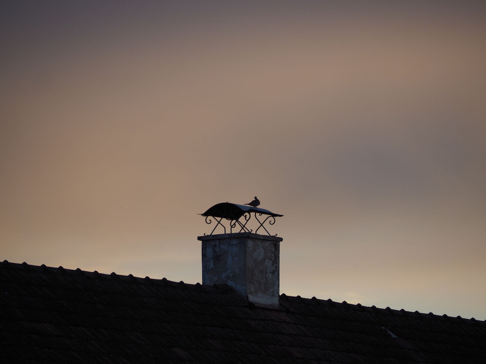 Olympus OM-D E-M10 sample photo. Flue, roof, chimney photography