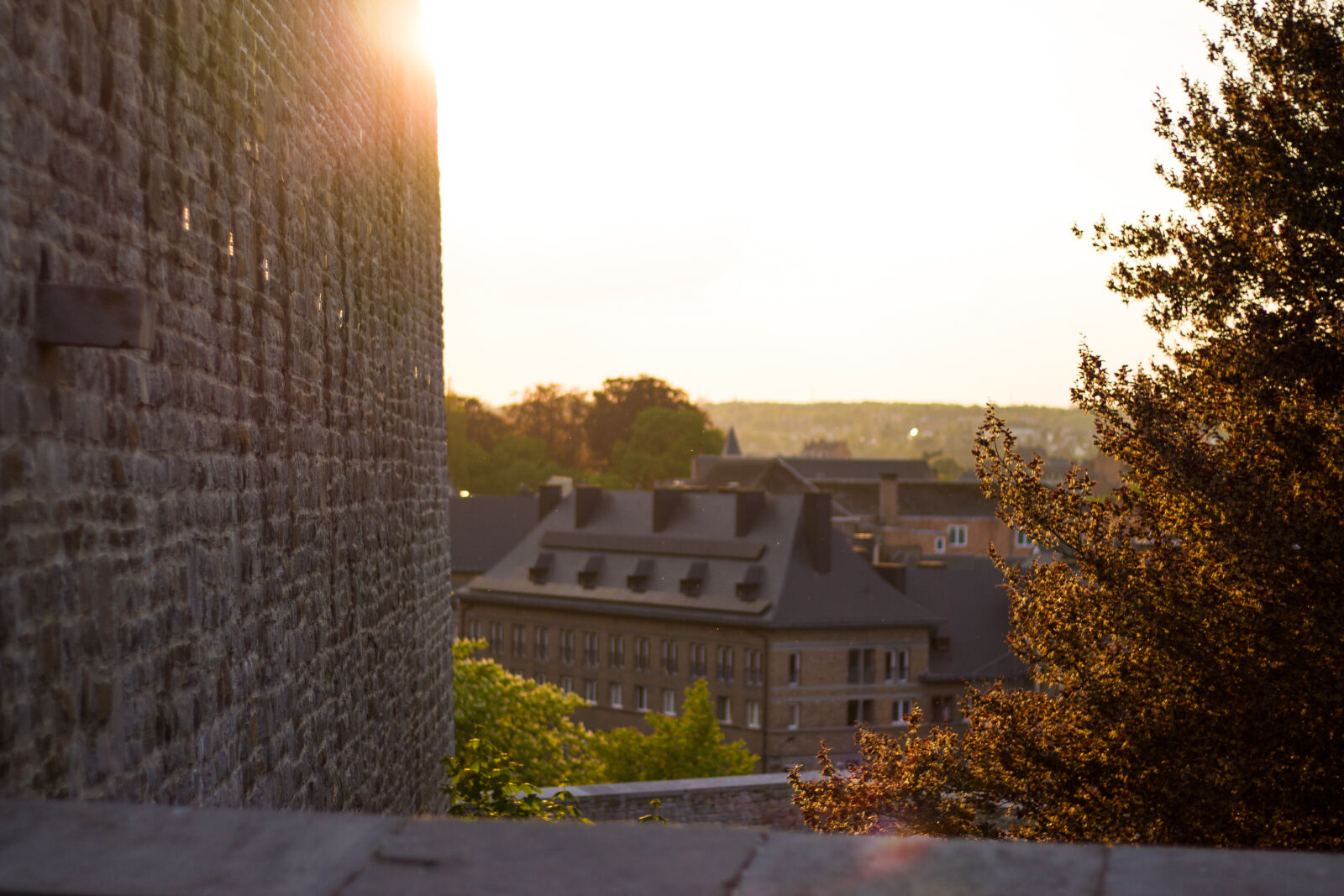 Canon EOS 700D (EOS Rebel T5i / EOS Kiss X7i) + Canon EF 50mm F1.8 STM sample photo. Architecture, belgium, nature photography