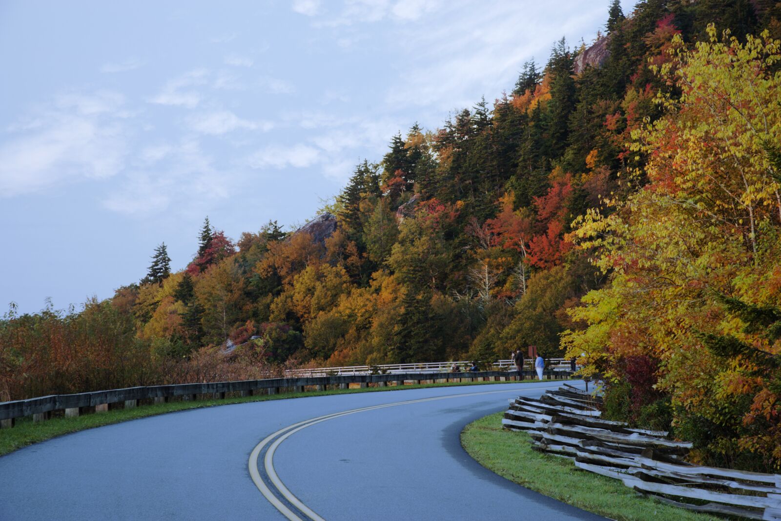 Nikon D610 sample photo. Fall, leaves, autumn photography