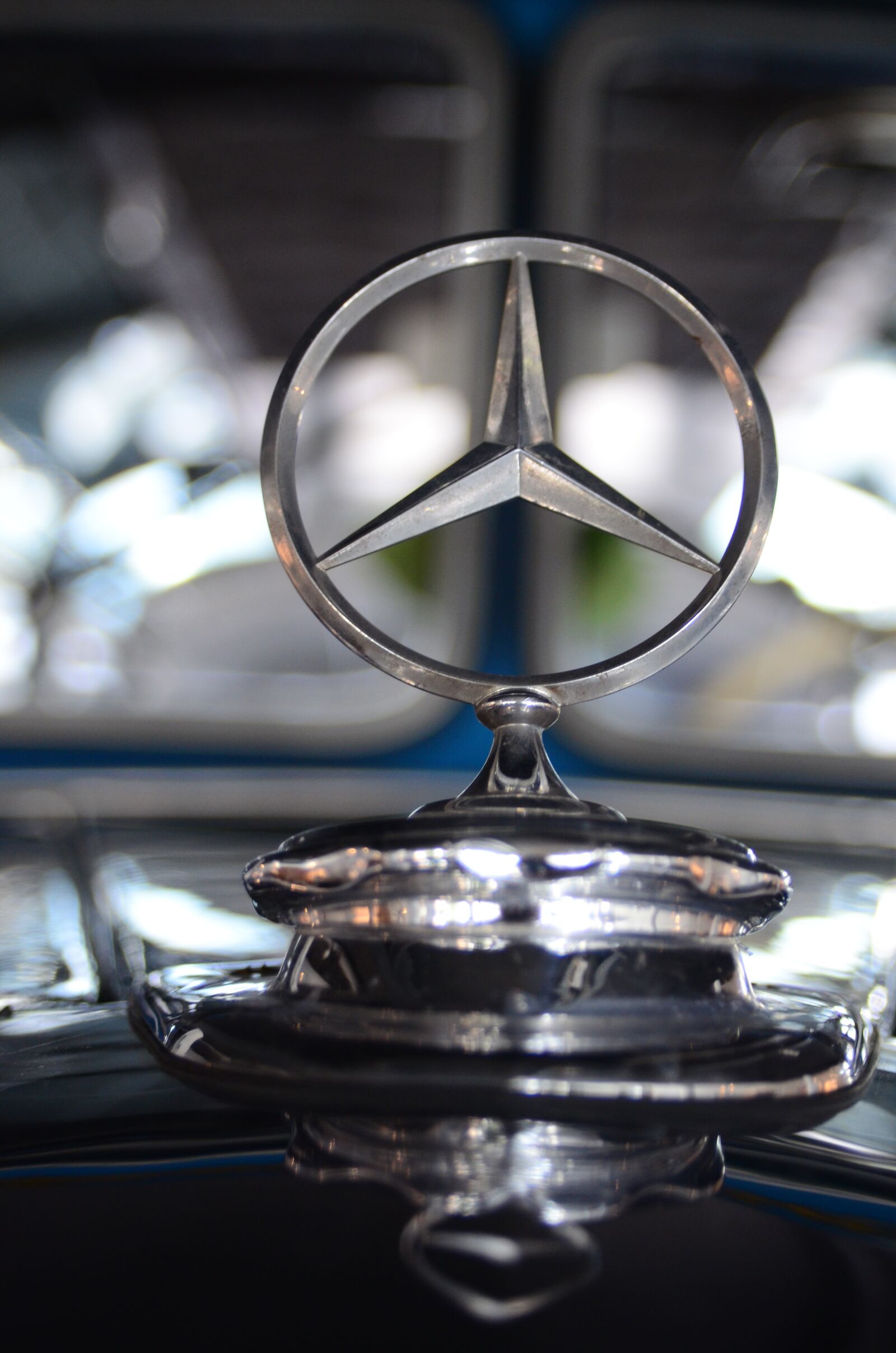 Nikon D7000 sample photo. Mercedes star, auw rter photography