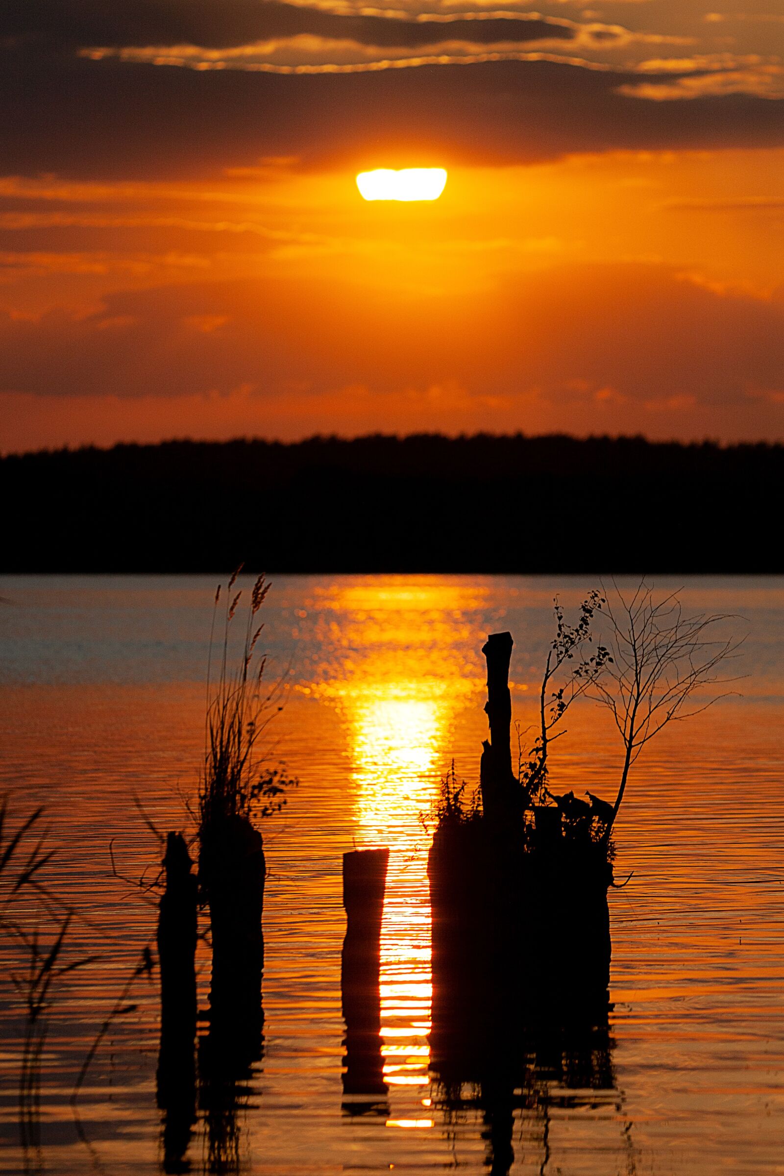 Canon EOS 5D Mark II sample photo. Sunset, sun, lake photography