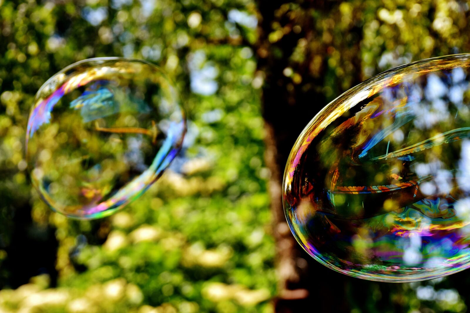 Nikon D7200 sample photo. Soap bubble, huge, large photography