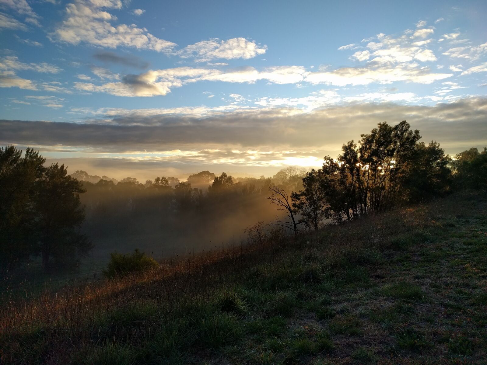 LG Nexus 5X sample photo. Sunrise, canberra, fog photography