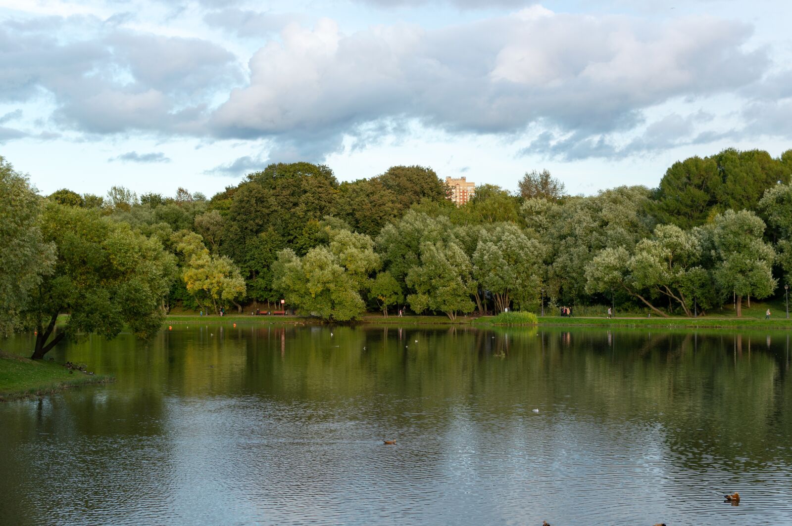 Nikon D3200 sample photo. Pond, park, tsaritsyno photography