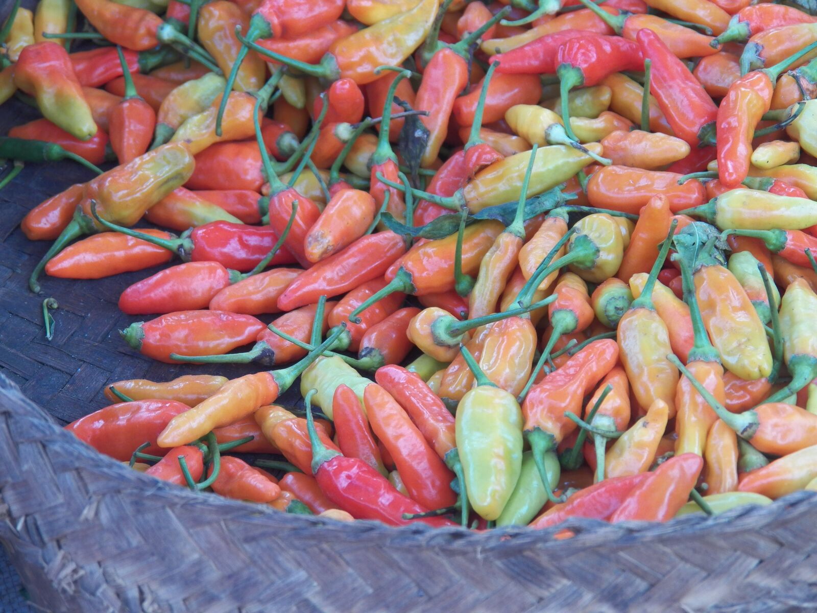 Kodak EasyShare Z990 (EasyShare Max) sample photo. Chili pepper, red, market photography