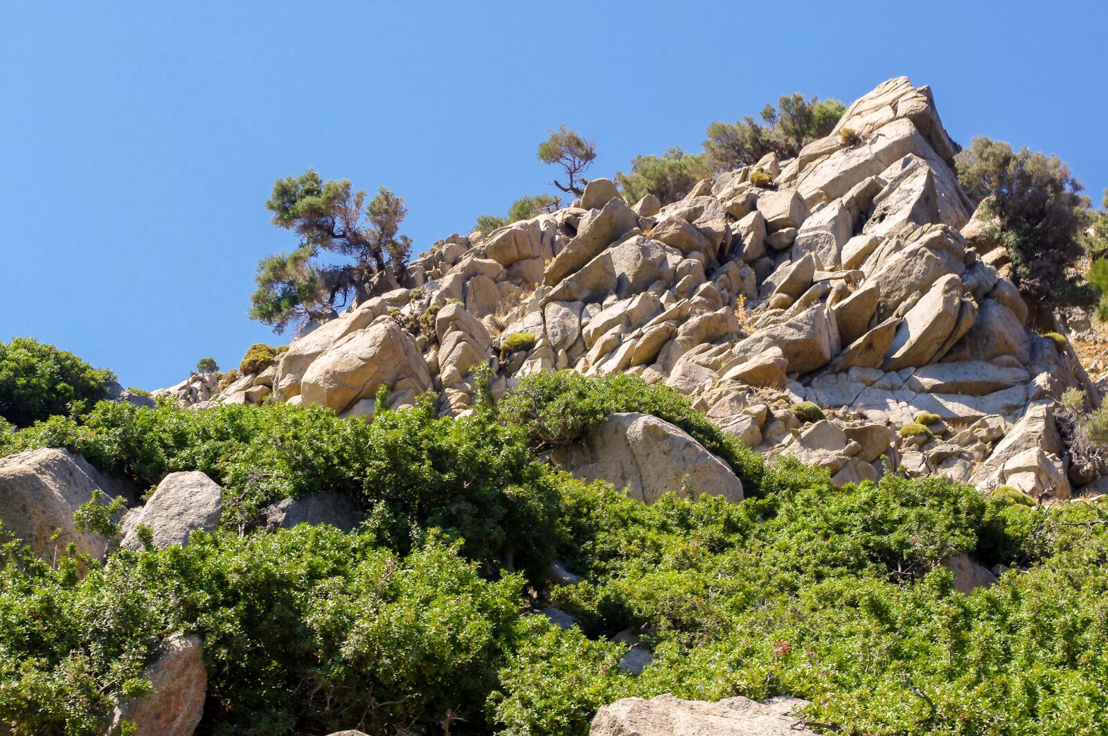 smc PENTAX-DA L 18-55mm F3.5-5.6 sample photo. Nature, travel, tree photography