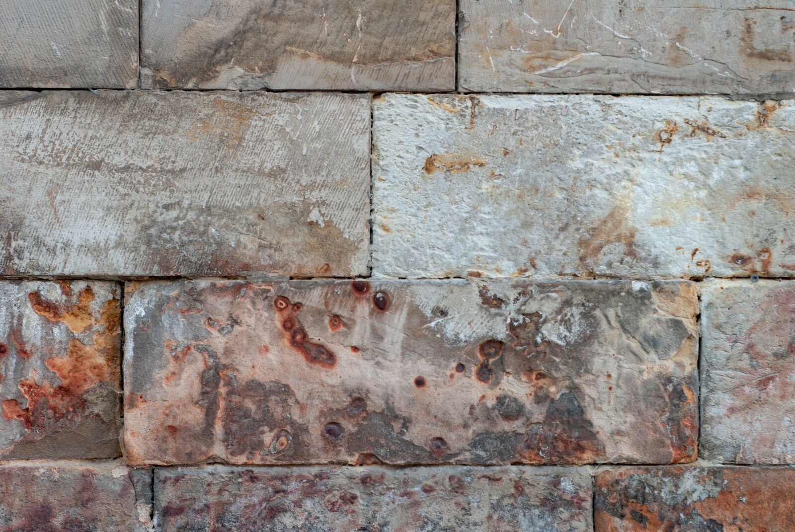 Nikon D200 sample photo. Brick wall, wall, texture photography