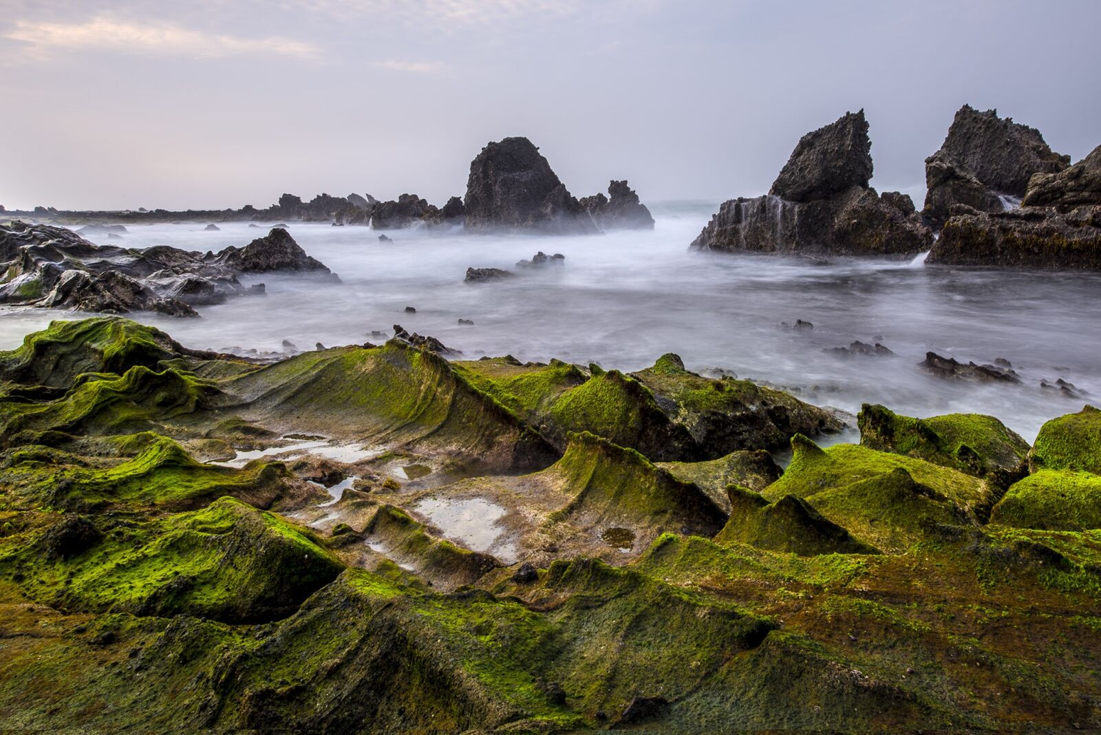 Nikon D750 sample photo. Sawarna, banten, green photography